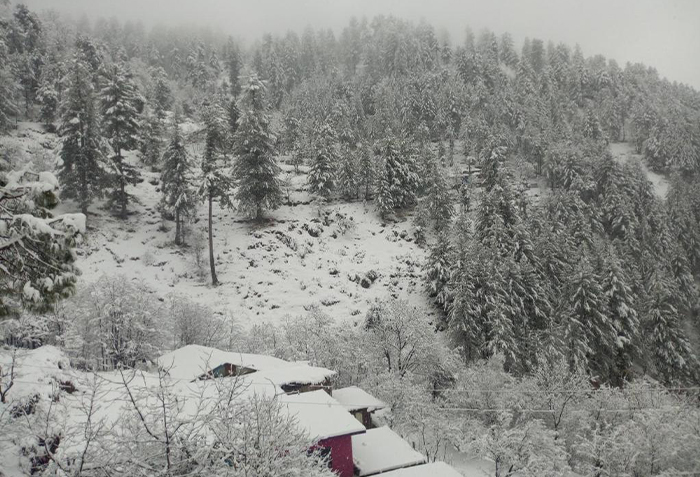 Dhamtour Village in Abbottabad